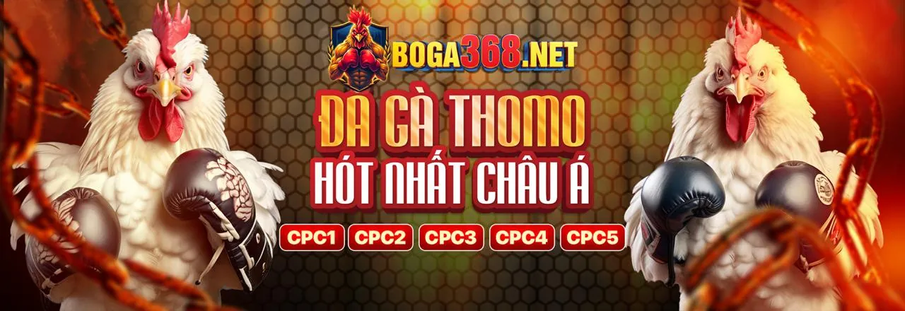 Đá Gà Trực Tuyến QH8 Link Mới 2026